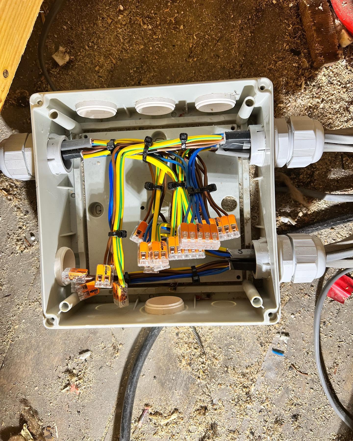 Open indoor junction box with tidy Wago 221 lever connectors